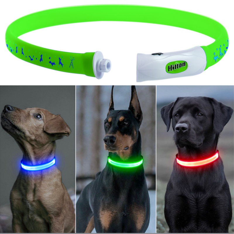 Hilton Flash LED collar in green